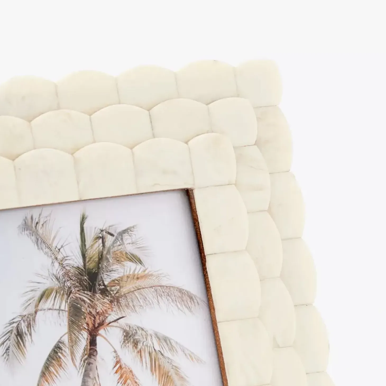Scalloped Bone Photo Frame Ivory
